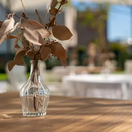 Ebe 3* SantʼArcangelo di Romagna